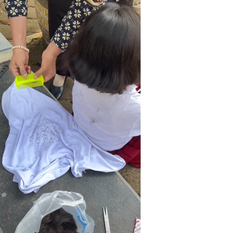 视频|常头发未乾戴头巾 女学生满头虱子