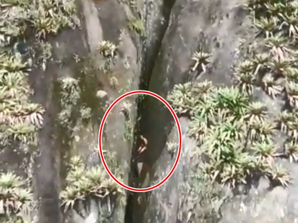 视频/少年全裸卡岩缝 不记得如何发生