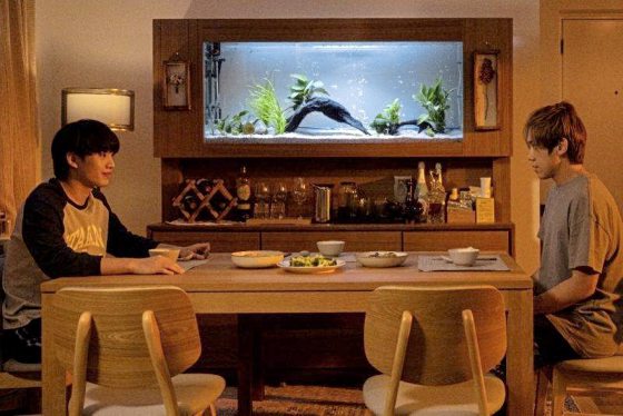 费比安／《阿妈有咗第二个》认识姜涛和柳应廷之作