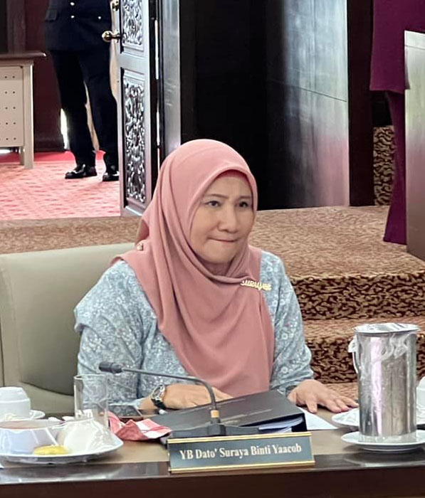 配伊党大会（全国版）苏拉雅：有收到请柬，但那是行政议员的门票，并非巫统领袖！