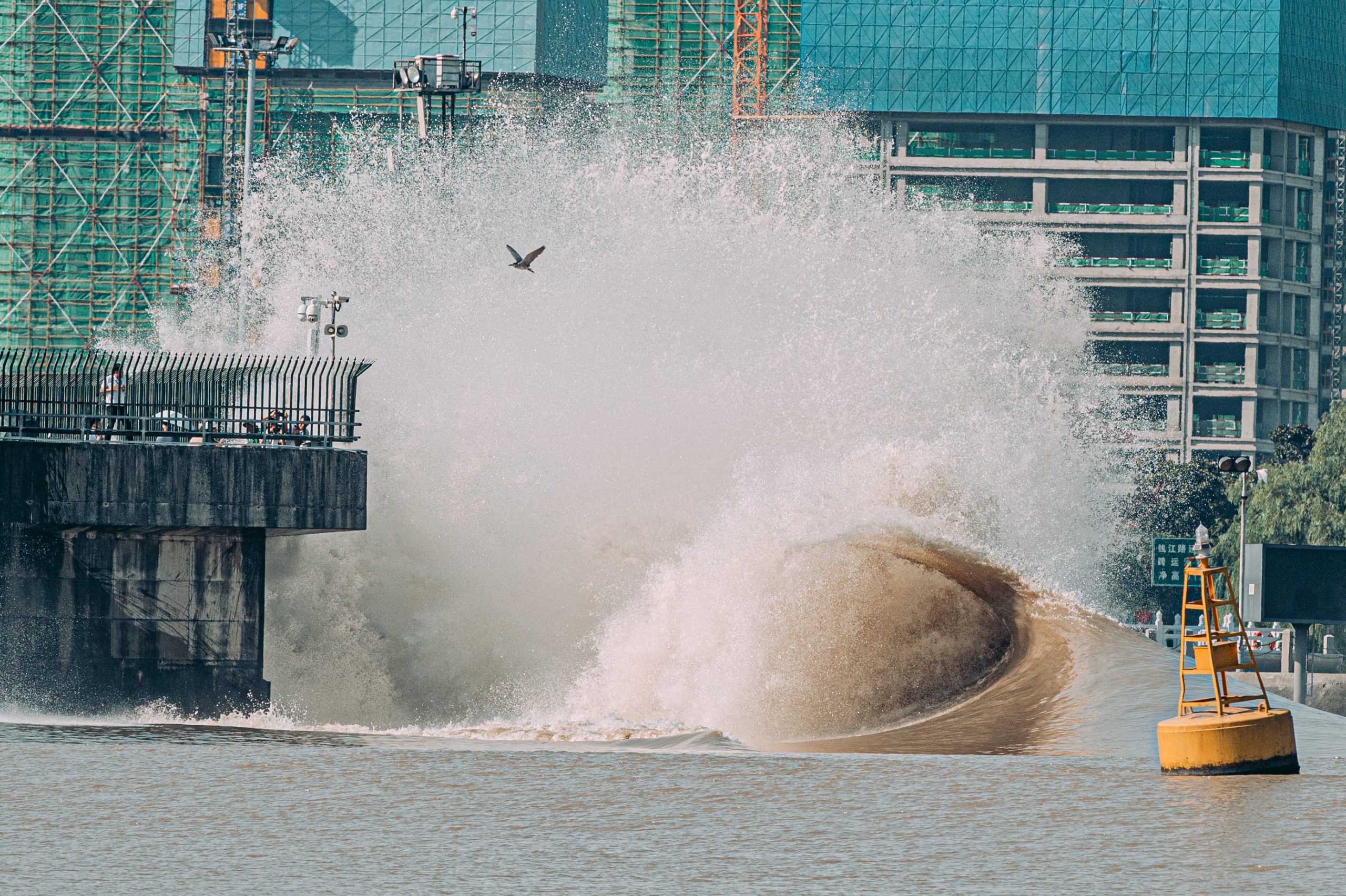 钱塘江同志立功 警方连3年观潮现场逮到逃犯