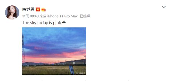 陈乔恩连续6年不缺席 携夫到墓园祭乔任梁