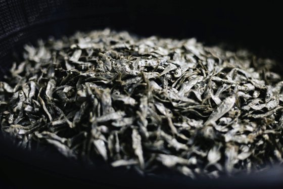 陈子韩／不再复返