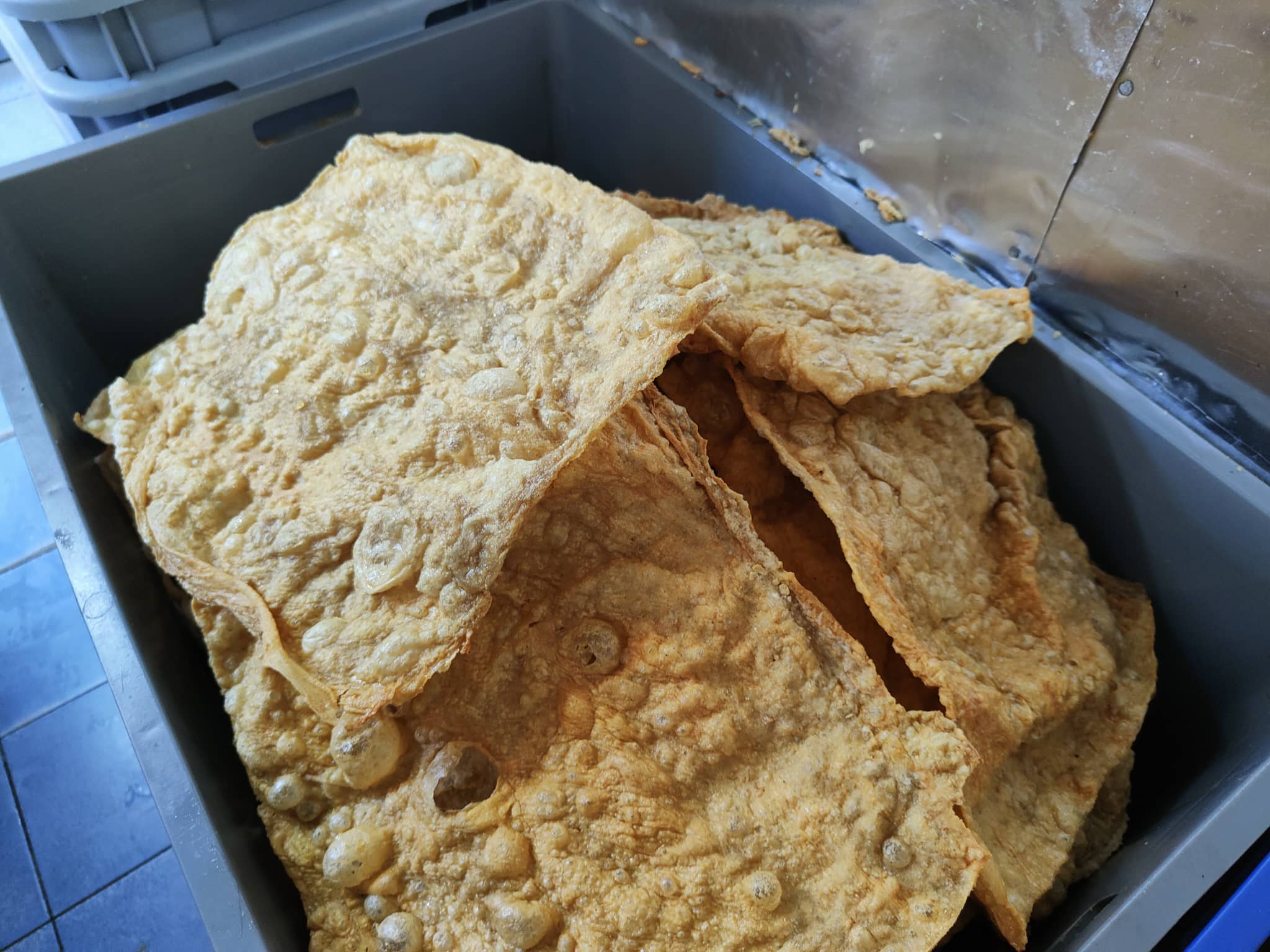 霹：21日见报／封底主文／【它的诞生】/卜卜脆