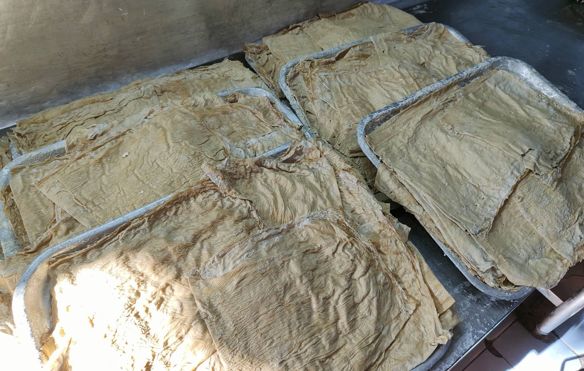霹：21日见报／封底主文／【它的诞生】/卜卜脆