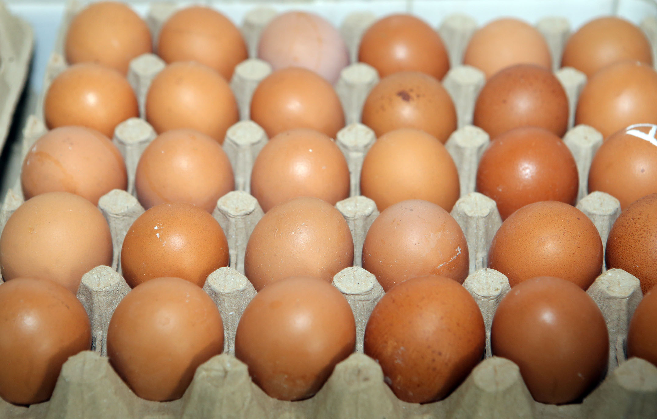 霹:★尽快签/封面主文/农场减产等因素 市场闹蛋荒