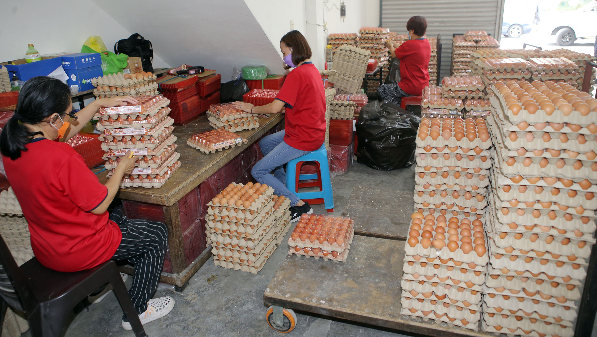 霹:★尽快签/封面主文/农场减产等因素 市场闹蛋荒