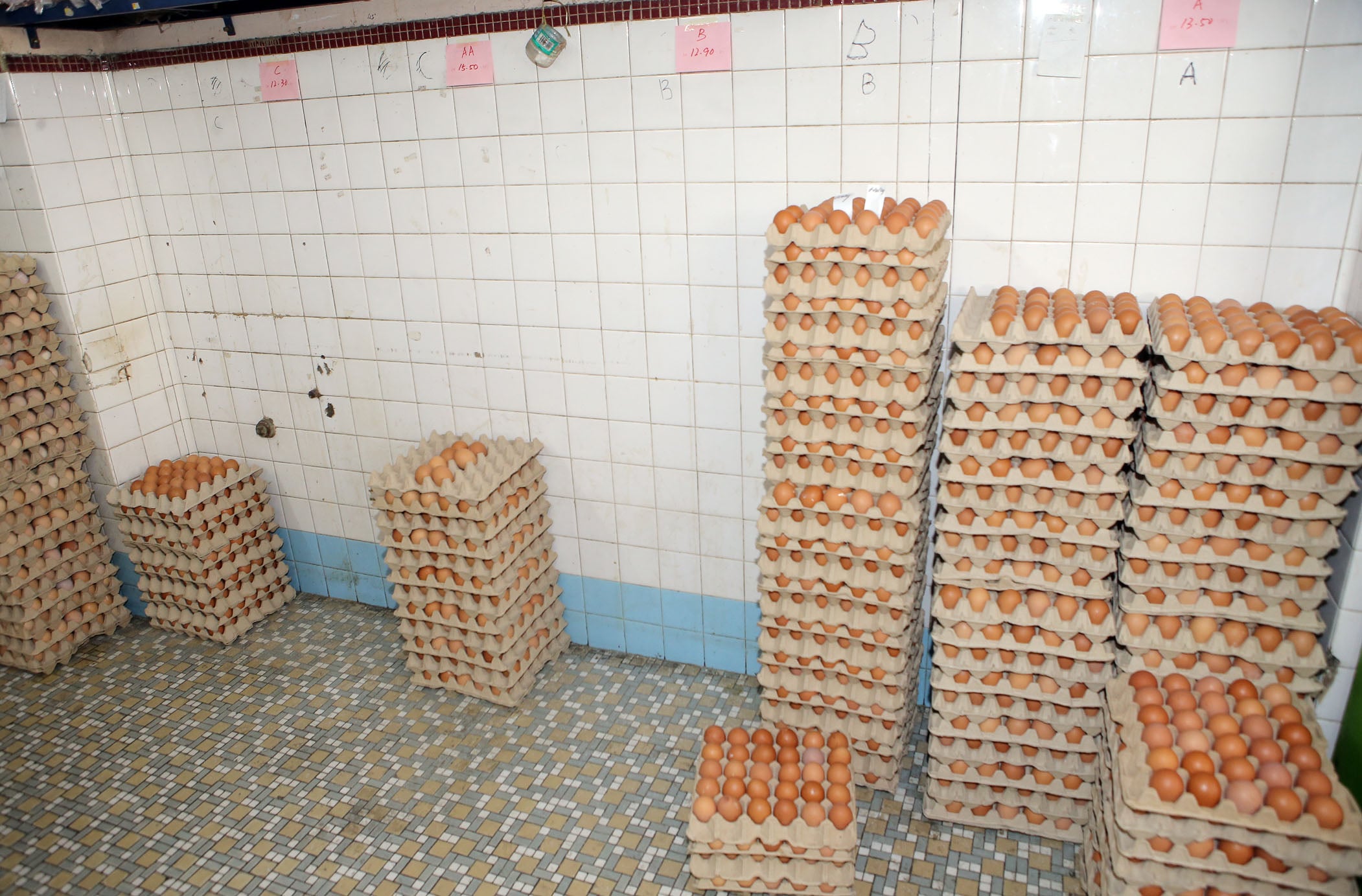 霹:★尽快签/封面主文/农场减产等因素 市场闹蛋荒