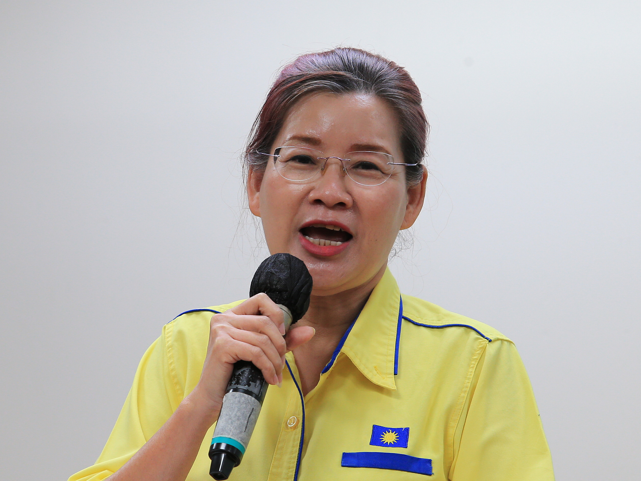 马华雪州妇女组第49届州代表大会/王赛之