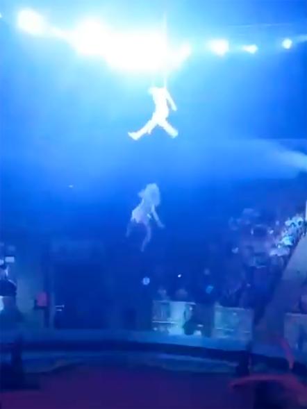 马戏团女飞人绝美升空 下秒手滑狂坠近5公尺!恐怖瞬间曝光