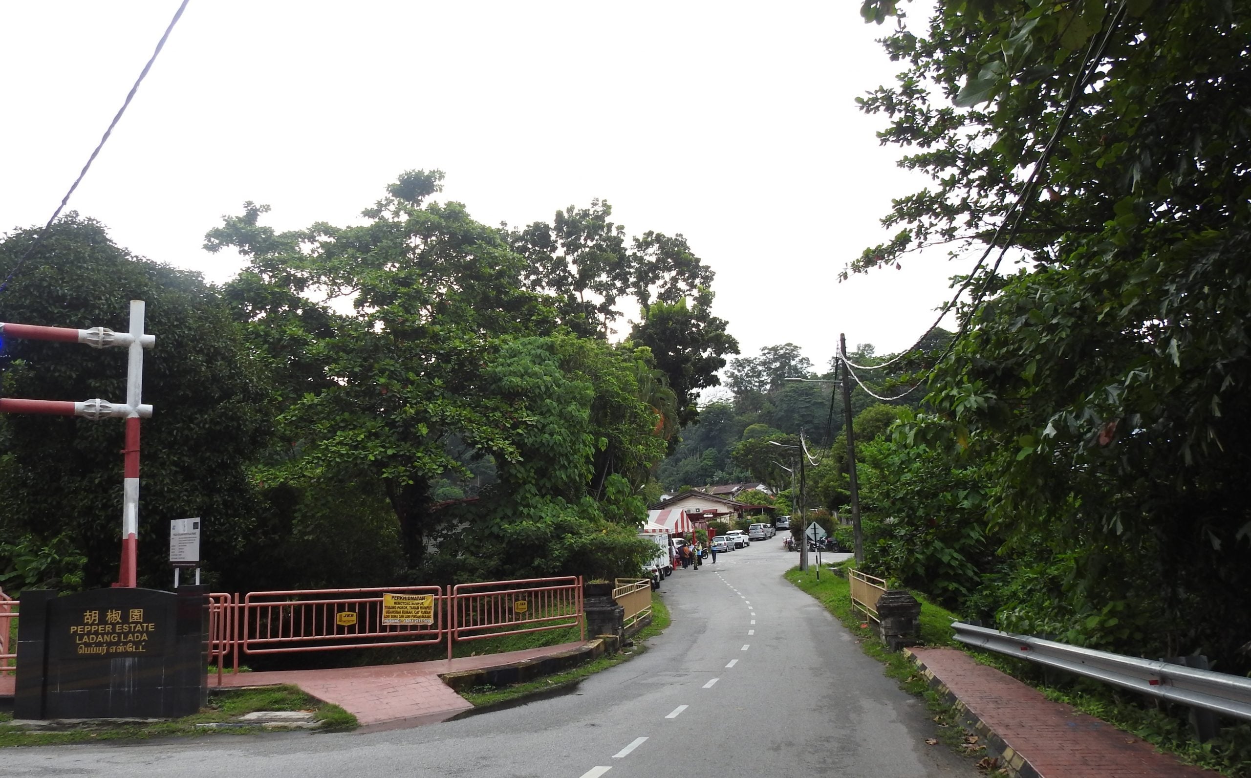 (7/9/有故事的人)胡椒园消失 只是时间问题-程顺连