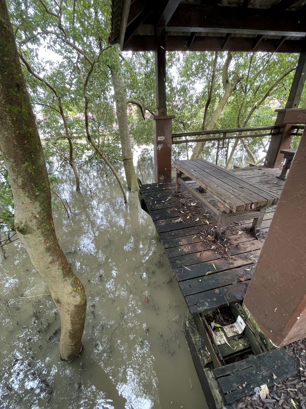 （古城封面副文）沿河走道工程迟迟未开始·毛贼来挖宝