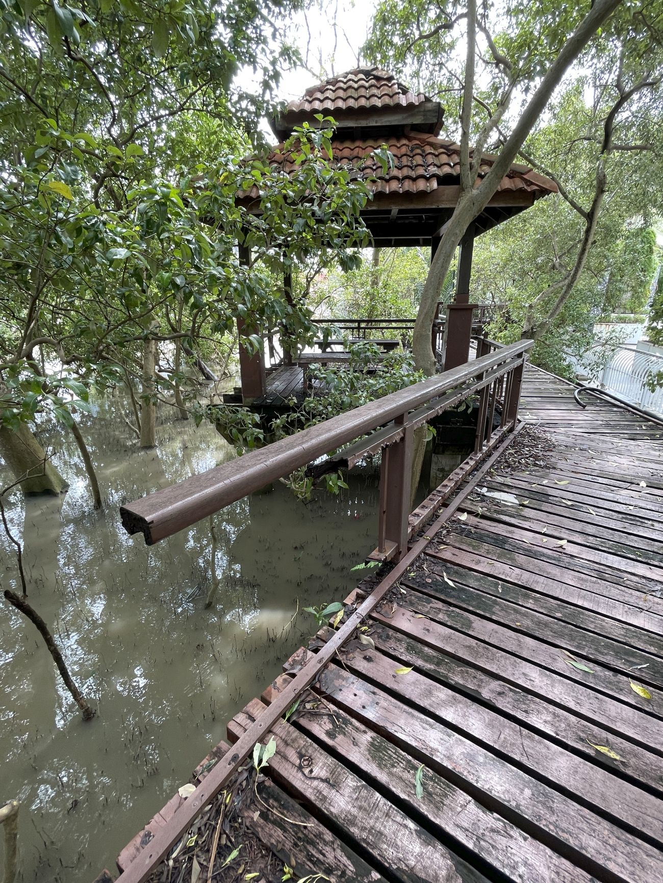 （古城封面副文）沿河走道工程迟迟未开始·毛贼来挖宝