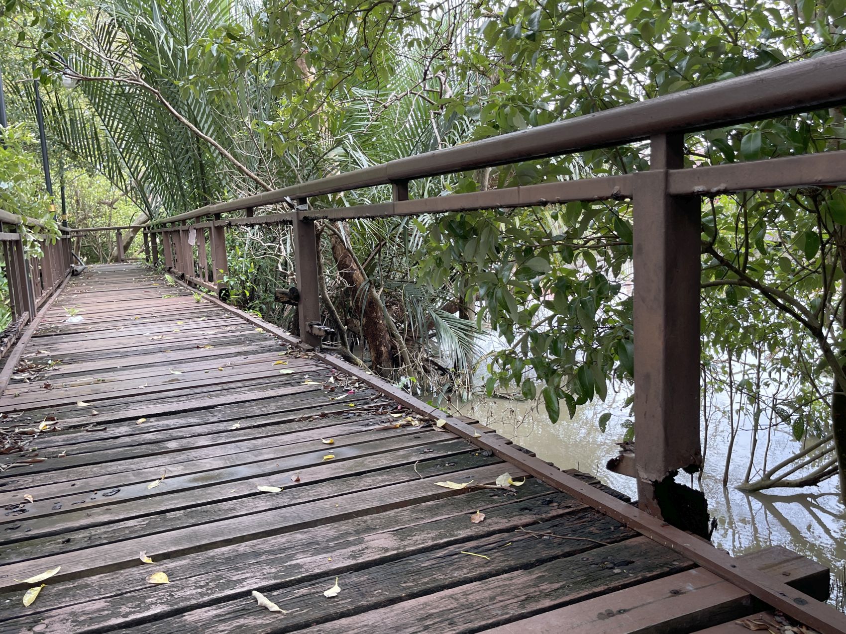 （古城封面副文）沿河走道工程迟迟未开始·毛贼来挖宝