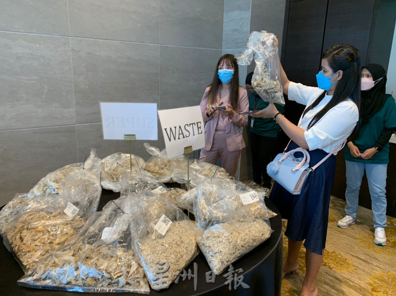 (古城封面版副文)甲毛燕拍卖会售出近百公斤毛燕