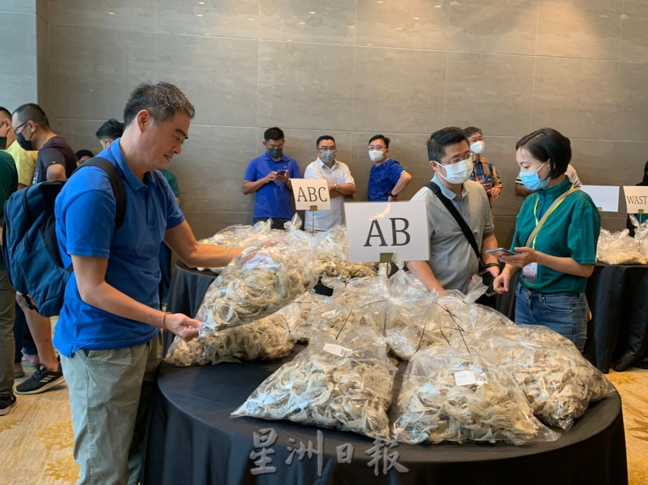 (古城封面版副文)甲毛燕拍卖会售出近百公斤毛燕