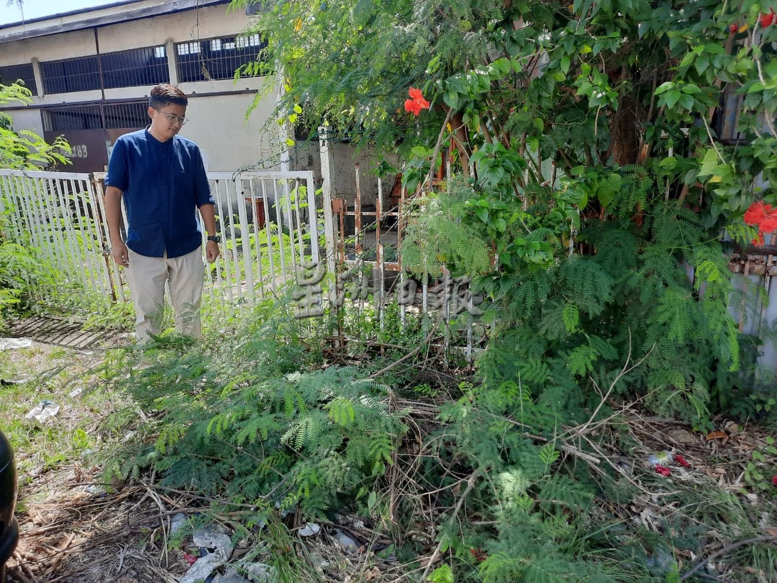 （古城第三版主文）玛琳再也柏卡路逢雨成灾，业者盼政府定期清沟