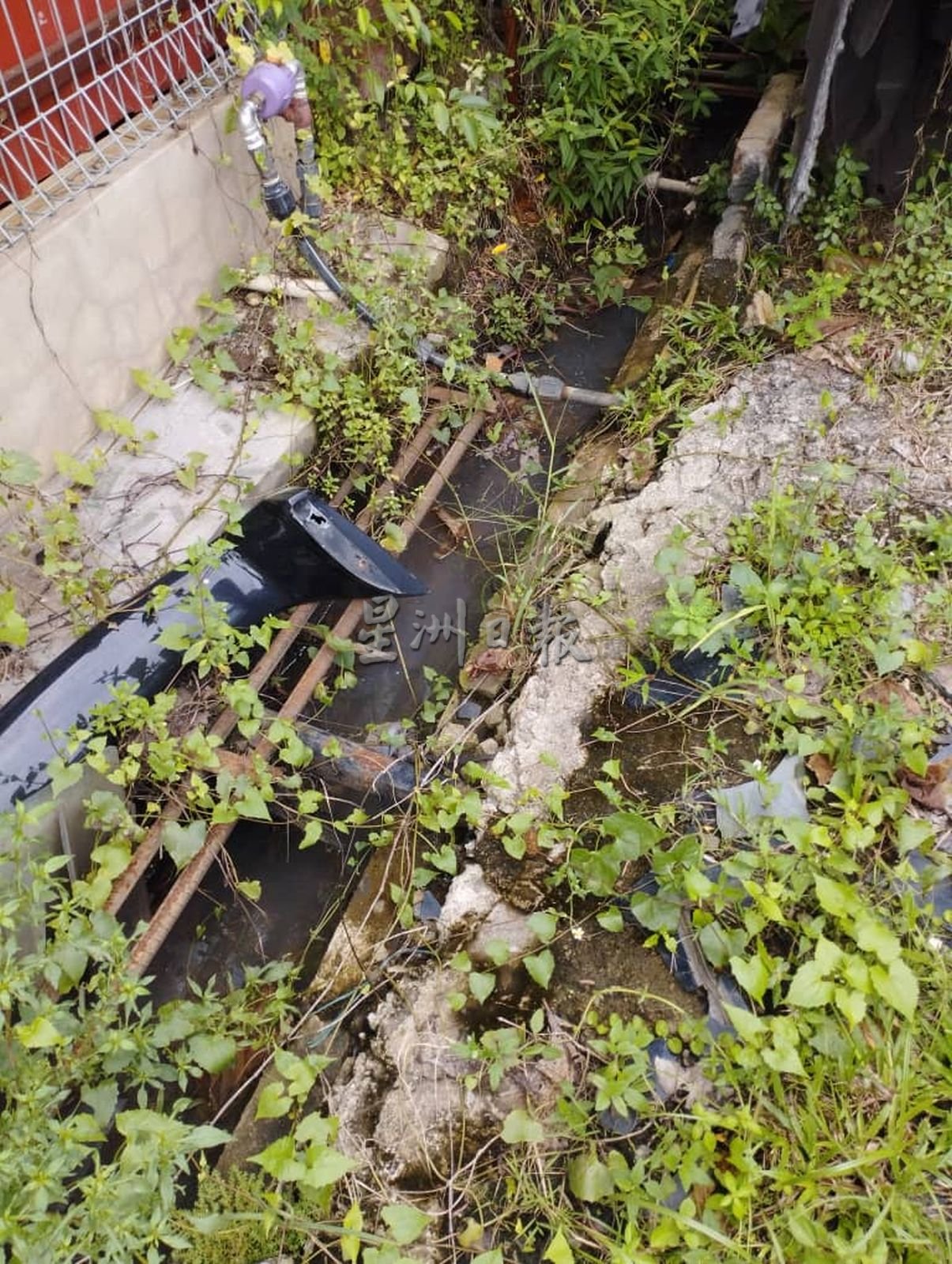 （古城第三版主文）玛琳再也柏卡路逢雨成灾，业者盼政府定期清沟