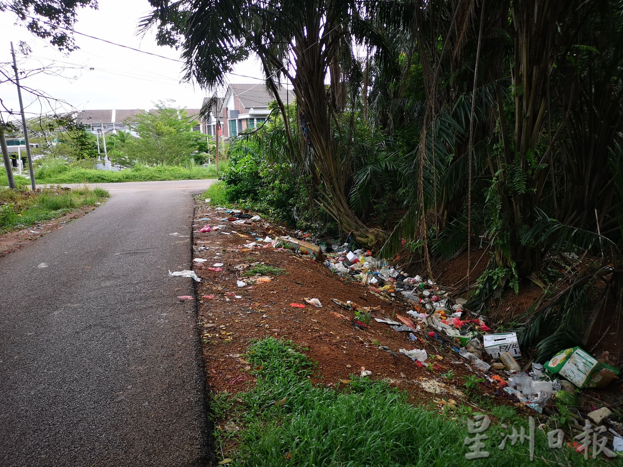 （古城第二版主文）胶园小路成为非法垃圾场，野猴觅食入屋捣乱