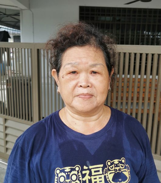 民生特工队:峇进步花园扩建道路,居民反对“割路”至家门前