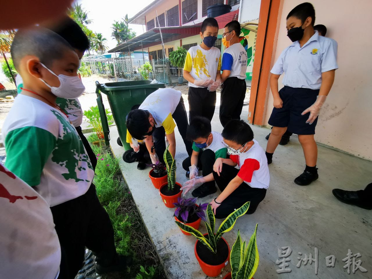 益侨华小、佛光会举办植树运动