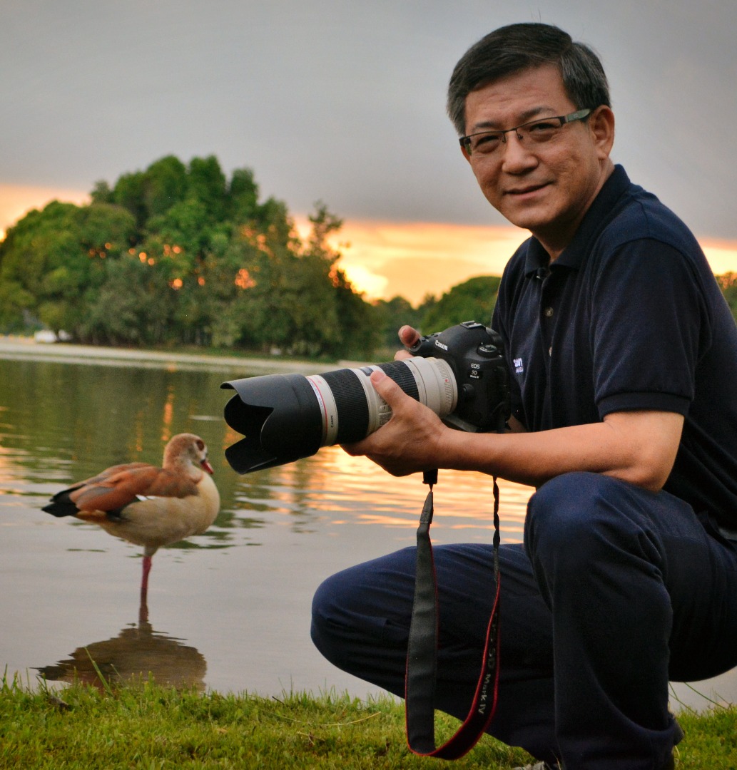 NS芙蓉/9月18日“乌克丽丽音乐讲座会”,入场免费