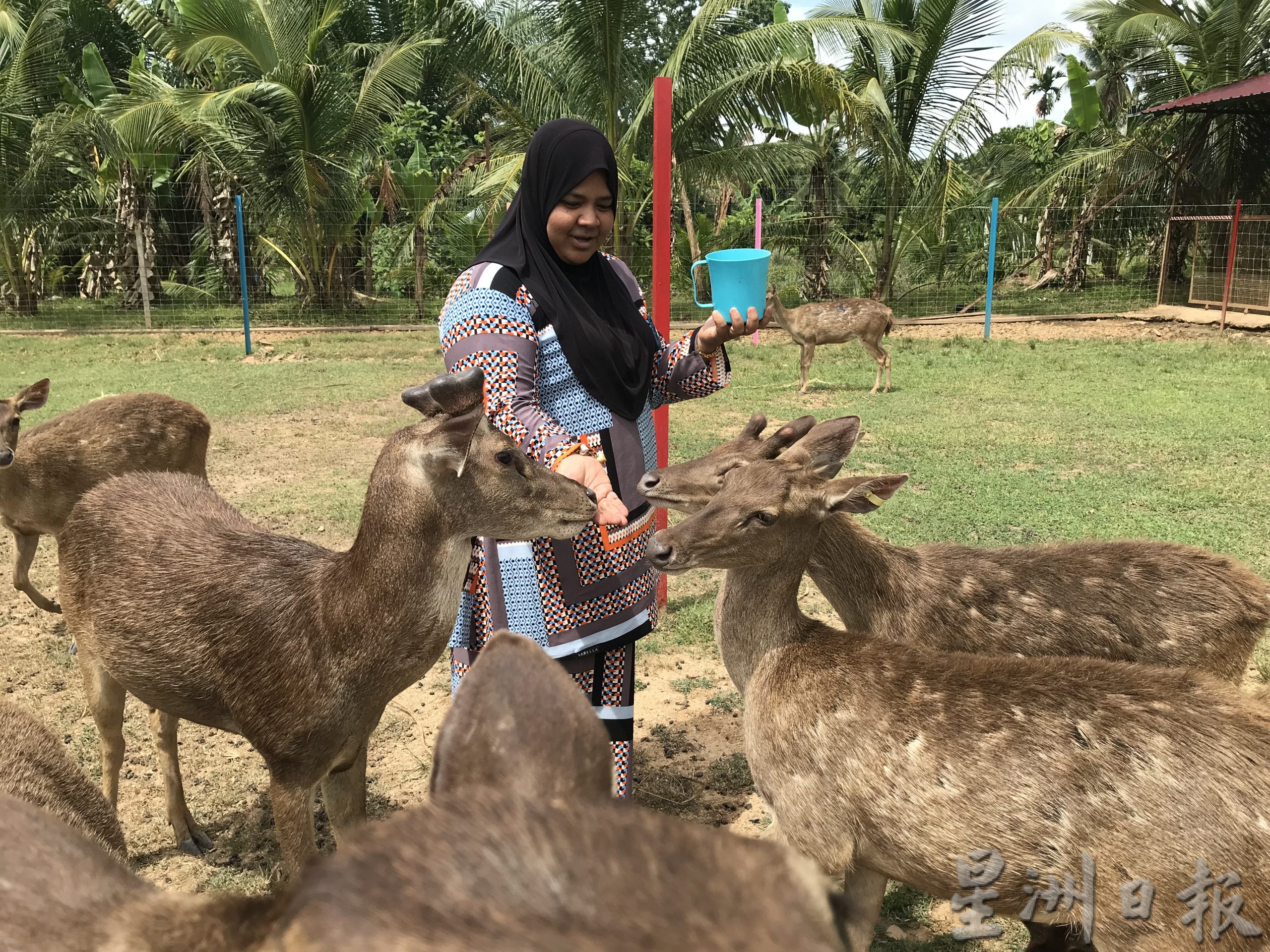 pk霹/9月10日见报/我家萌宠/封底主文