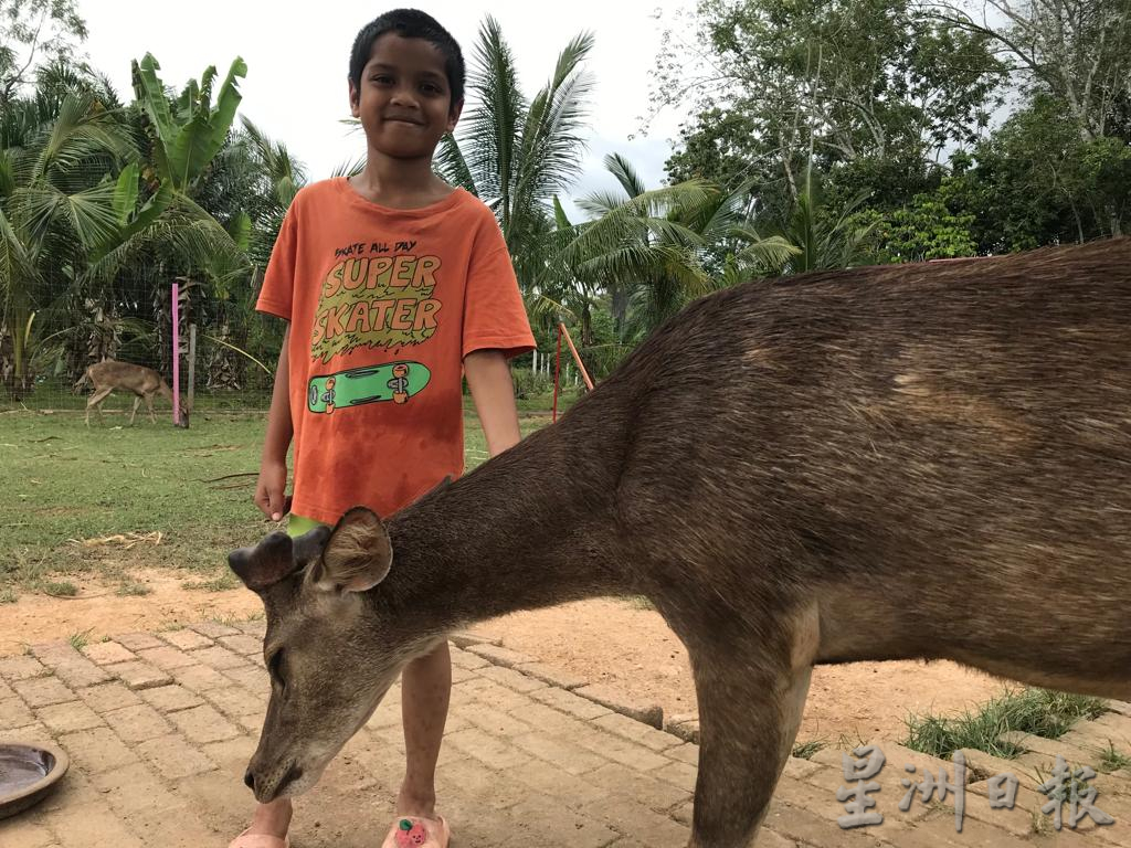 pk霹/9月10日见报/我家萌宠/封底主文