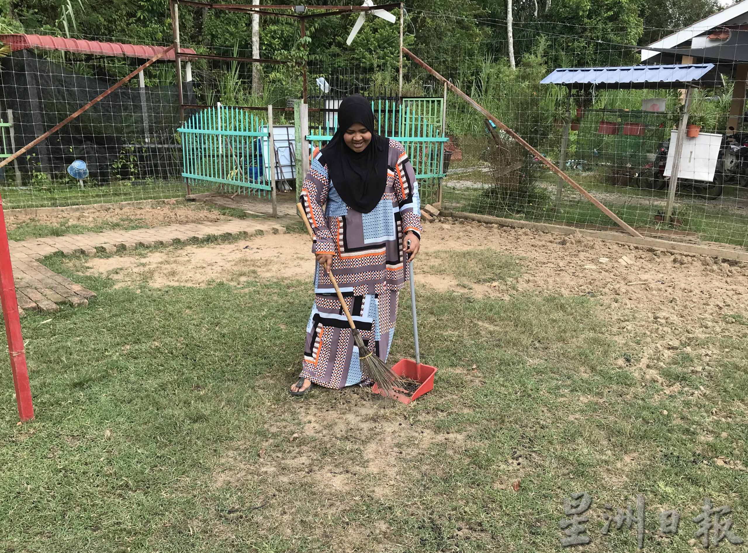 pk霹/9月10日见报/我家萌宠/封底主文