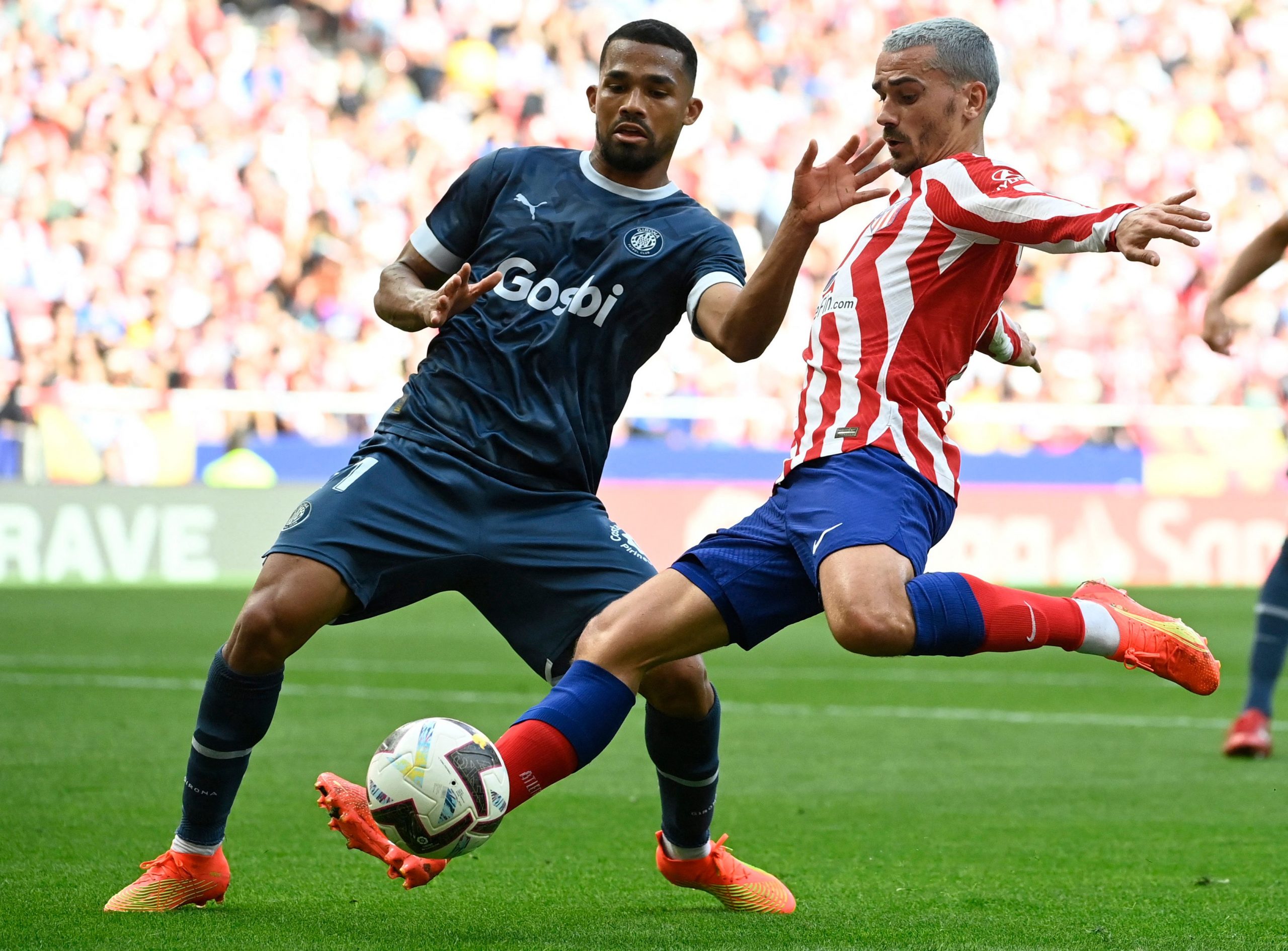 1亿买断格列兹曼  马体会赚翻