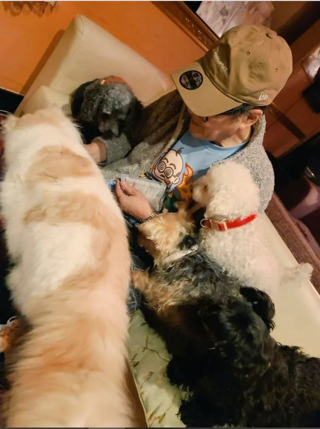 81岁谐星车祸不治 晚年境况凄凉住垃圾屋