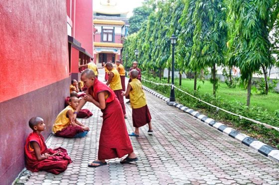 【印度】菩提伽耶,释迦牟尼悟道成佛之地