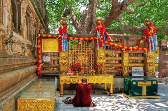 【印度】菩提伽耶,释迦牟尼悟道成佛之地