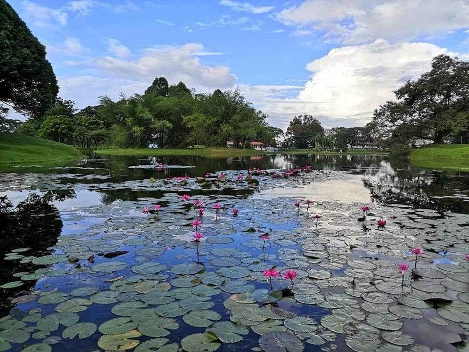 【选区走透透】／太平发展欠蓬勃年轻人外流 盼加强工业旅游业成推手