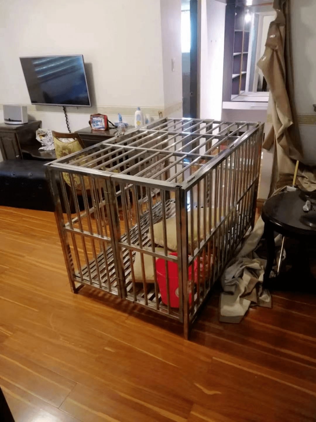 上海女子在菲律宾遭绑架 被关狗笼20天后逃脱