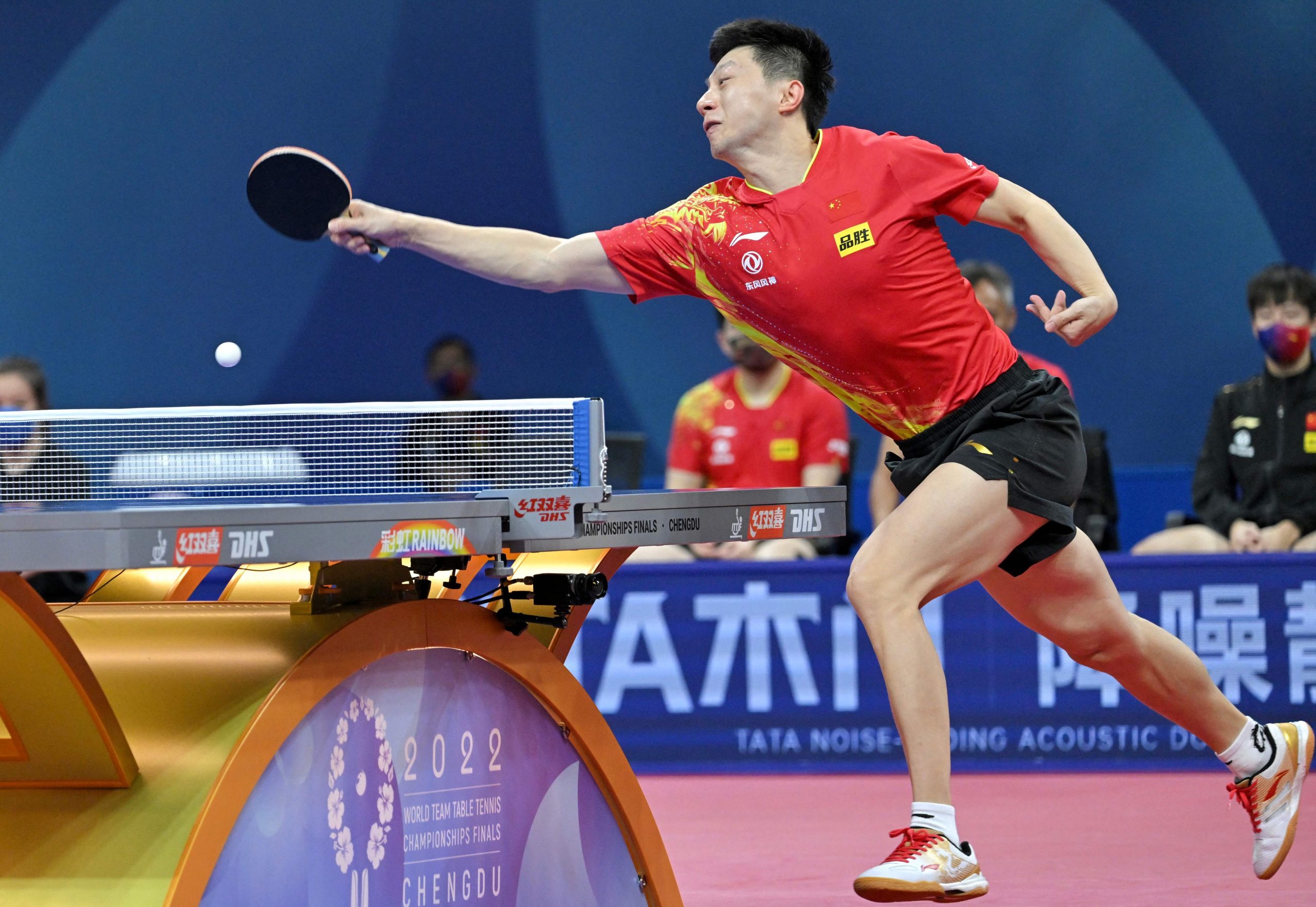 世乒赛| 日本半决赛斗德国  中台争女团决赛权