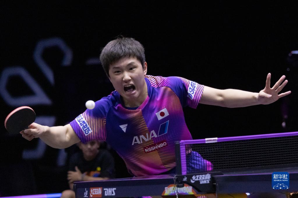 世界杯乒乓赛|中国包揽女单冠亚军 王楚钦决战张本争王
