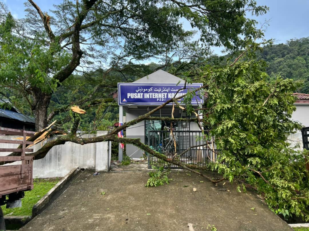 东:士满慕和米昔拉发生风灾,大树倒塌