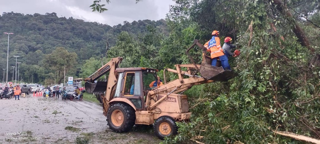 东:士满慕和米昔拉发生风灾,大树倒塌