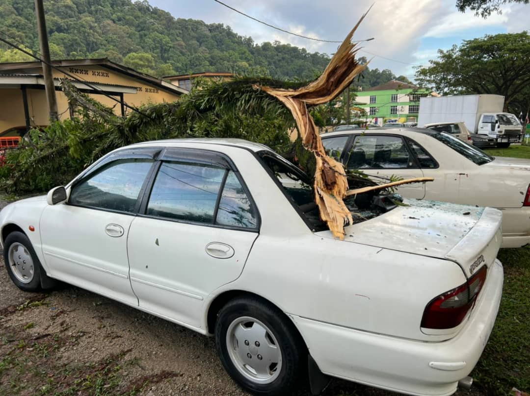 东:士满慕和米昔拉发生风灾,大树倒塌