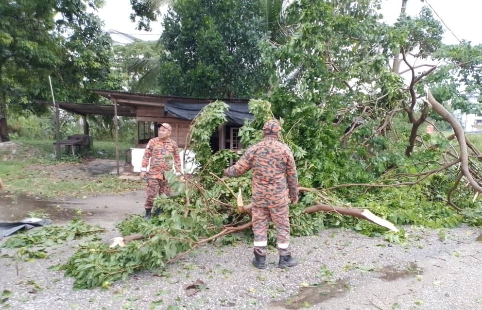 东：昨天傍晚下起暴风雨，文德甲加叻路五英里道路旁多处大树被狂风吹倒，一度造成道路被堵。