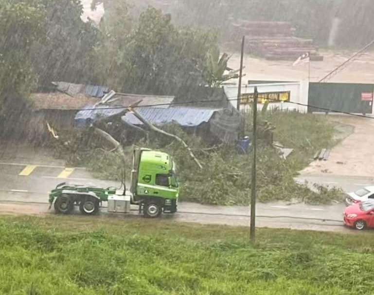 东：昨天傍晚下起暴风雨，文德甲加叻路五英里道路旁多处大树被狂风吹倒，一度造成道路被堵。