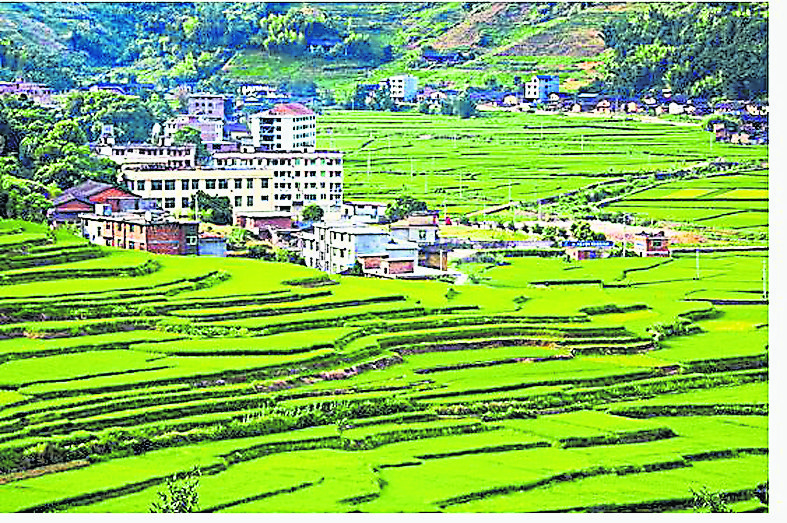 二十大新局 系列 网红打卡地成聚宝盆 千年梯田 好“丰”景 /主