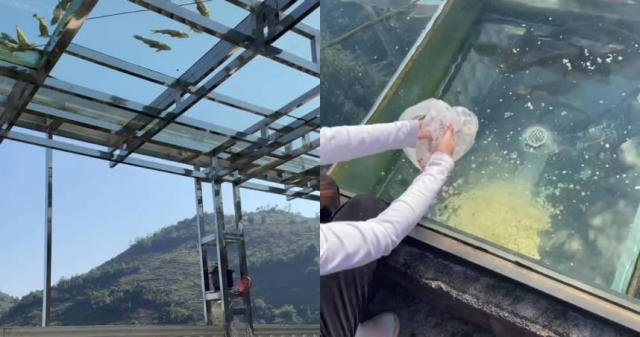人在家中坐、鱼在头顶游 他在自家楼顶打造“玻璃鱼塘”网路爆红