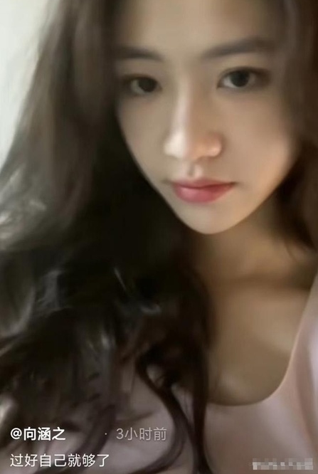 向涵之晒视频自称“不是恋爱脑” 遭酸又蹭吴磊热度