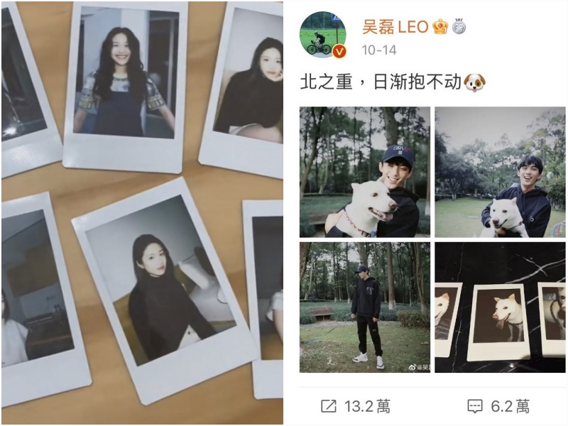 向涵之晒视频自称“不是恋爱脑” 遭酸又蹭吴磊热度