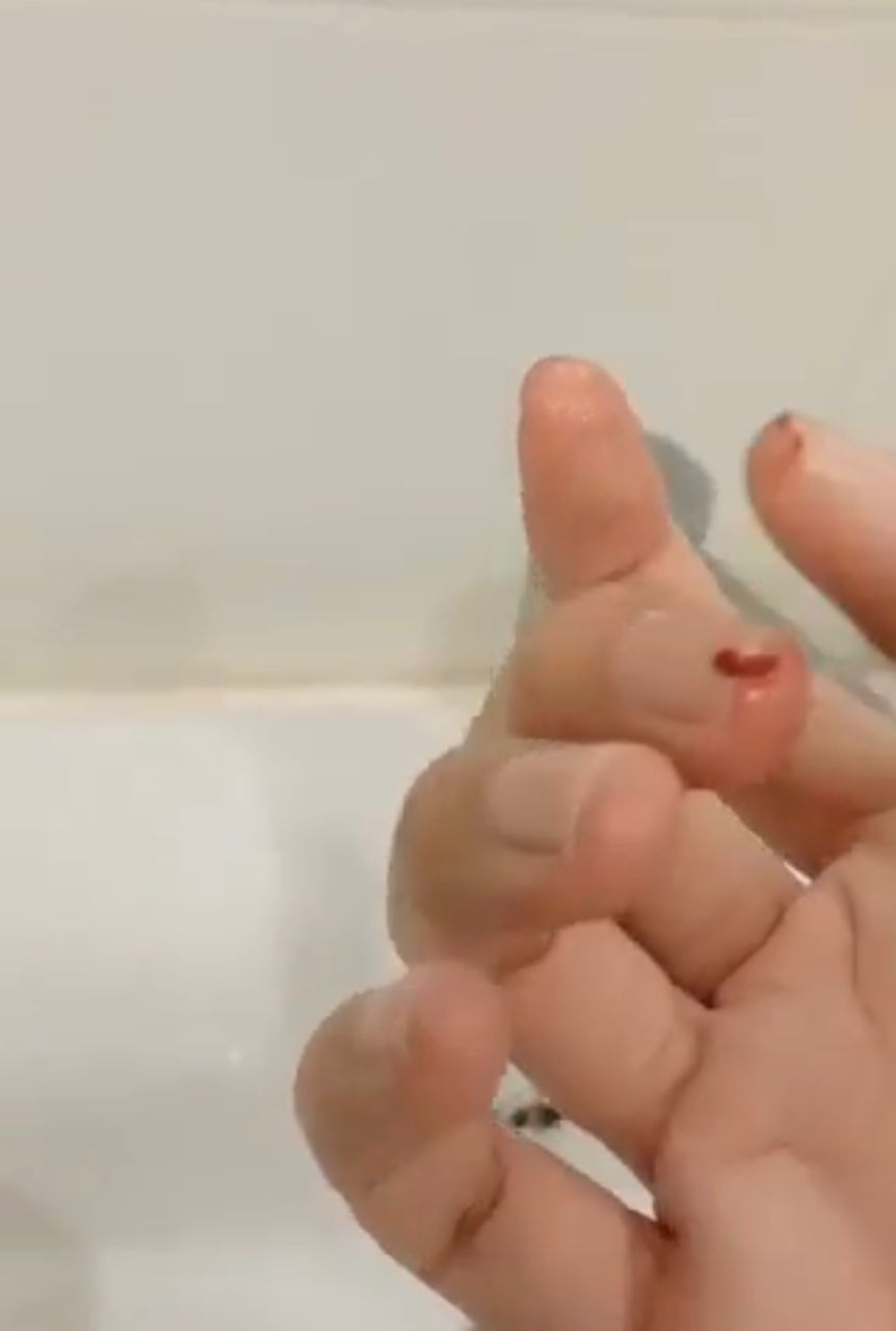 大都会（版2头）/热线投诉-被不法集团利用进行诈骗