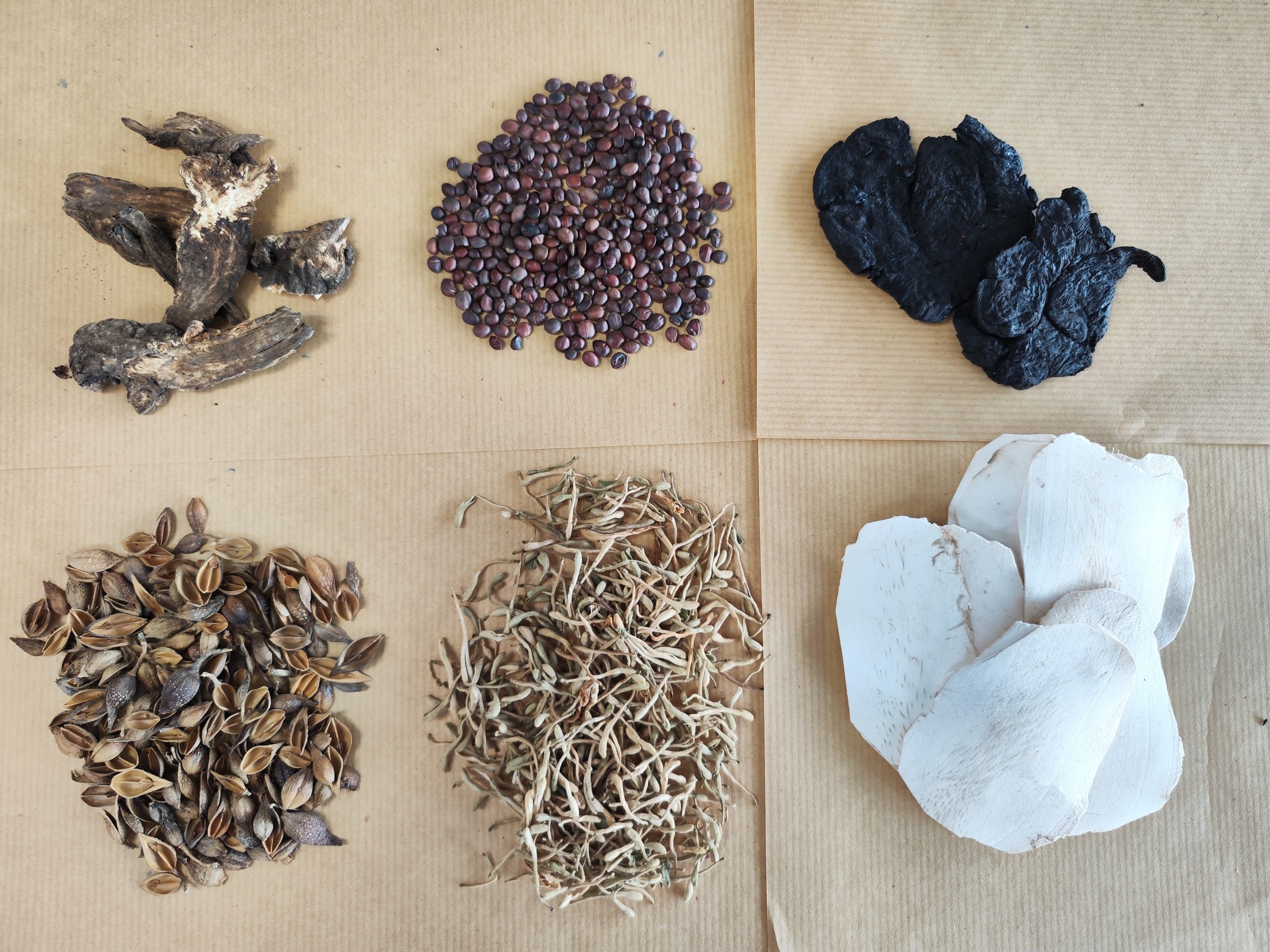 **已签发**柔：封底：【特稿】：受中国冠病清零、马币贬值等影响，进口中药持续飙涨