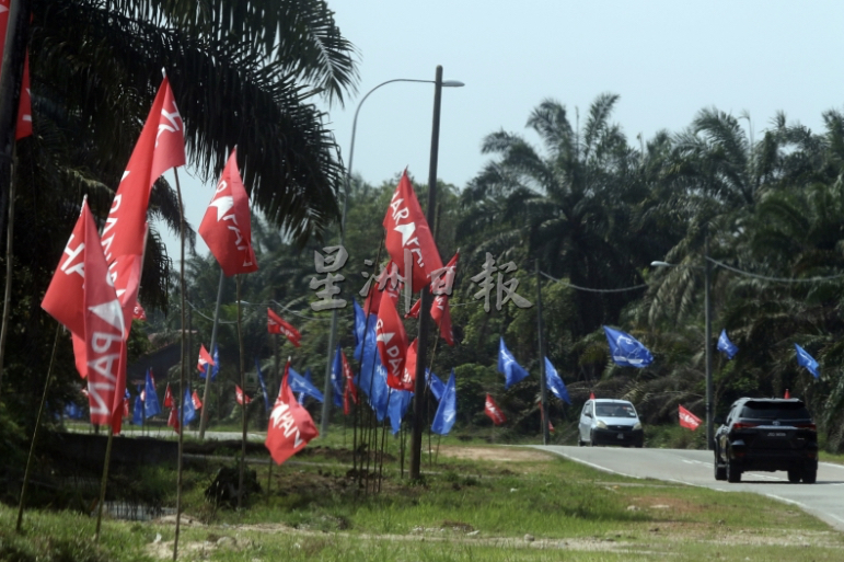 **已签发**柔:封面:副文:【大选风起时】:回顾P乡165丹绒比艾:国阵马华堡垒区,仅1次失利但补选再赢回