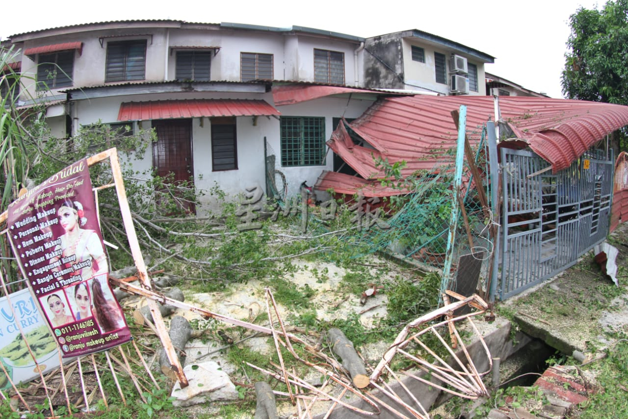 强风吹袭巴占百合花园 大树倒下压毁凉蓬篱笆